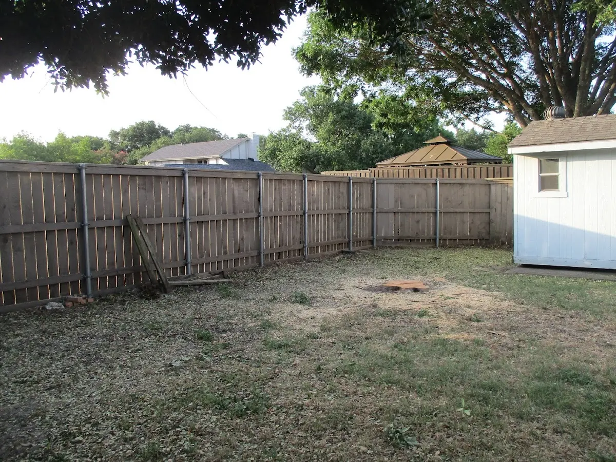 Cleared yard after professional tree removal in Hometown